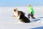 2 Hunde