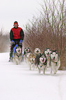 Musher beim Training