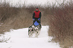 Musher beim Training