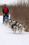 Musher beim Training