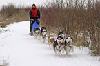 Musher beim Training