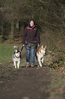 Frau und 2 Siberian Husky