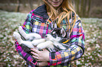 Frau mit Siberian Husky Welpe