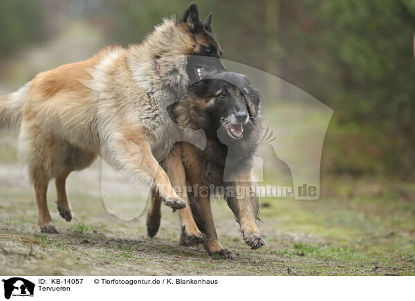 Tervueren / KB-14057