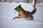 Tervueren im Schnee