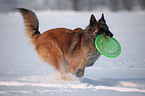 Tervueren im Schnee