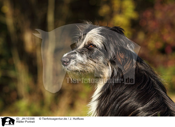 W�ller Portrait / JH-10398