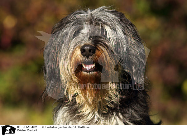 Wller Portrait / JH-10402