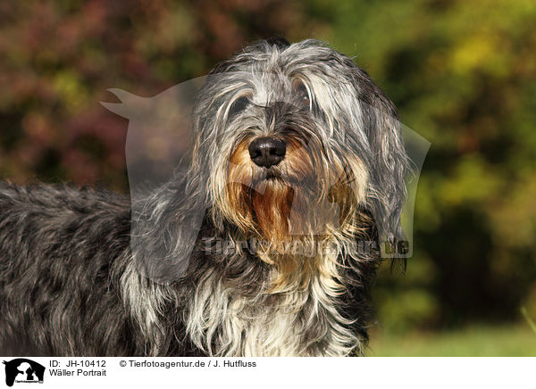 Wller Portrait / JH-10412