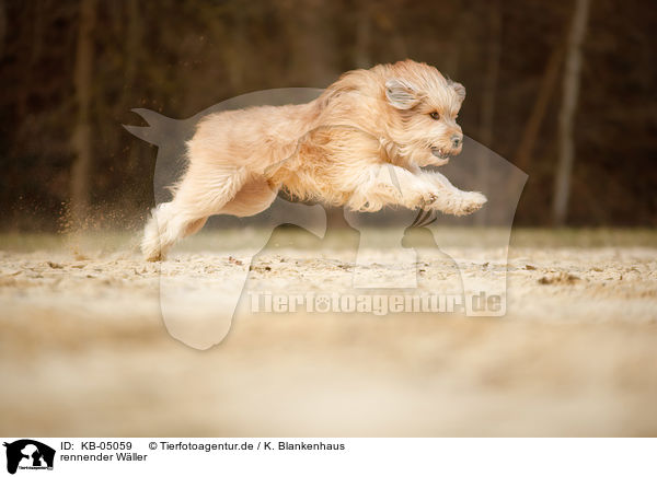 rennender W�ller / KB-05059