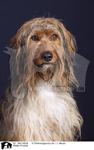 W�ller Portrait / JM-12628