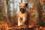 Wller im Herbst