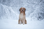 Wller im Winter