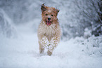 Wller im Winter