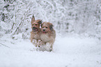 Wller im Winter