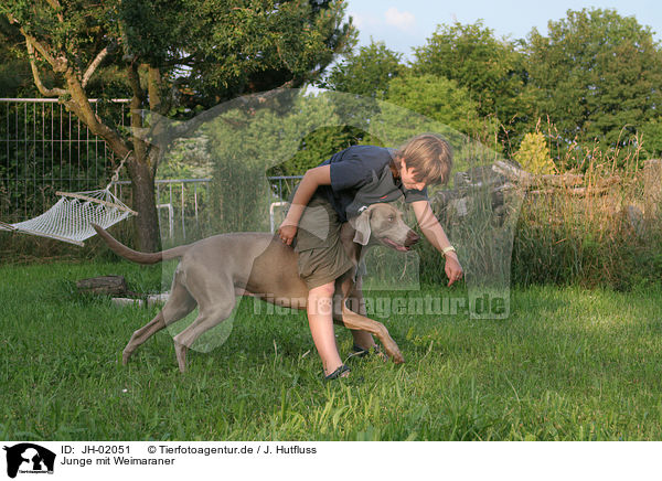 Junge mit Weimaraner / JH-02051