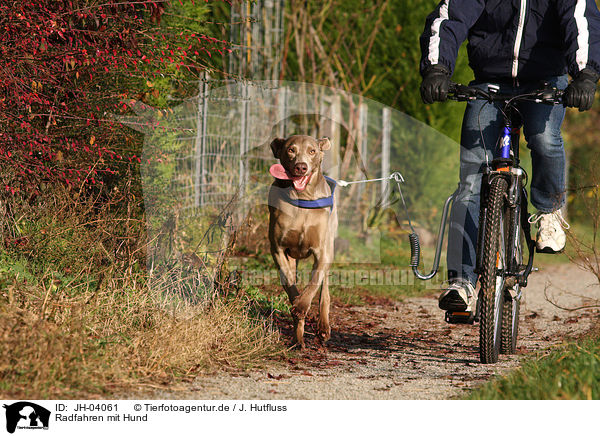 Radfahren mit Hund / cycling with dog / JH-04061