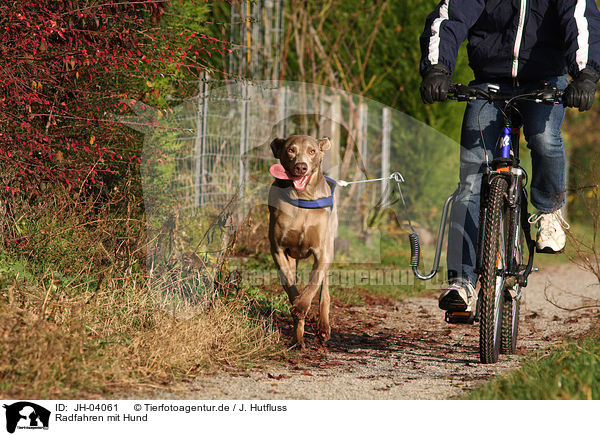 Radfahren mit Hund / JH-04061