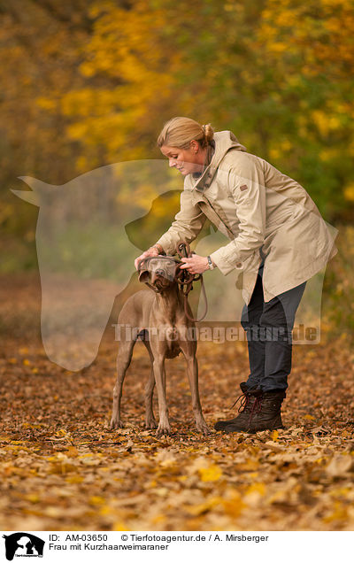 Frau mit Kurzhaarweimaraner / woman with shorthaired Weimaraner / AM-03650