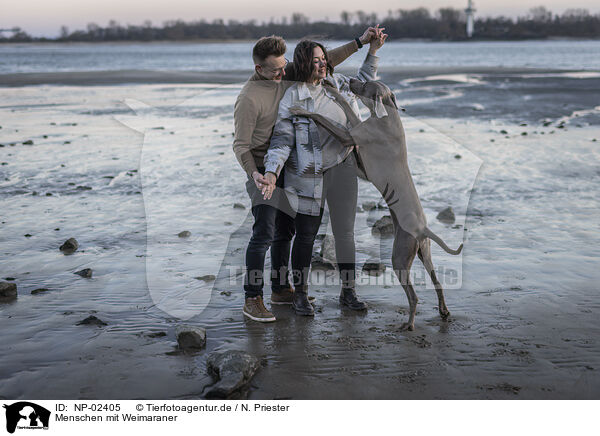 Menschen mit Weimaraner / human with Weimaraner / NP-02405