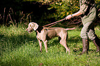 Jger mit Weimaraner