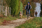 Radfahren mit Hund