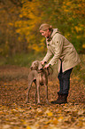 Frau mit Kurzhaarweimaraner