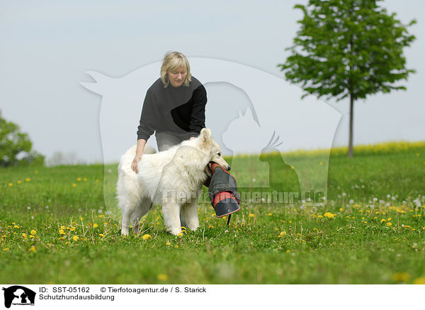 Schutzhundausbildung / SST-05162