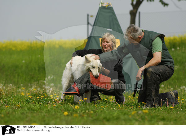 Schutzhundausbildung / SST-05165