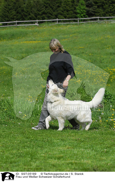 Frau und Weier Schweizer Schferhund / woman and white swiss shepherd / SST-05189