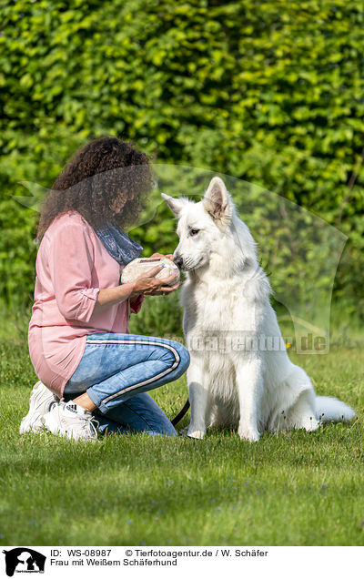 Frau mit Weiem Schferhund / woman with Berger Blanc Suisse / WS-08987