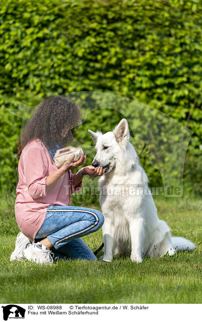 Frau mit Weiem Schferhund / woman with Berger Blanc Suisse / WS-08988