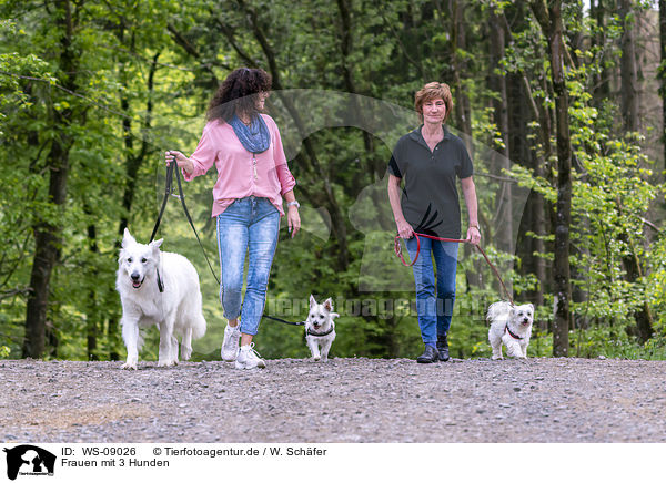 Frauen mit 3 Hunden / WS-09026