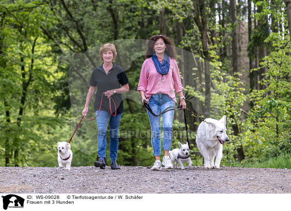 Frauen mit 3 Hunden / womans wtih 3 Dogs / WS-09028