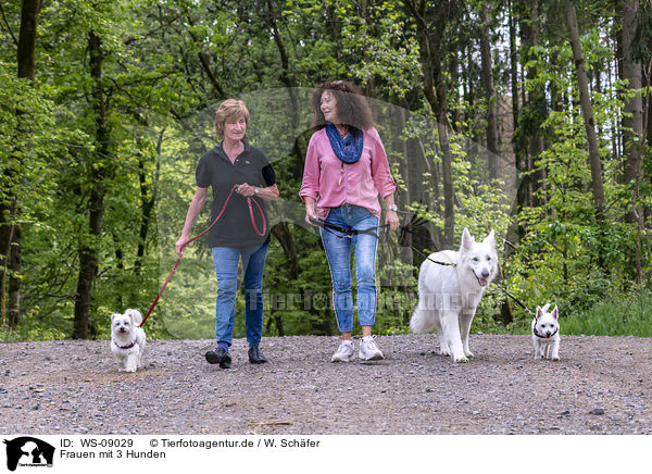 Frauen mit 3 Hunden / WS-09029