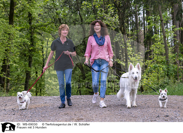 Frauen mit 3 Hunden / WS-09030