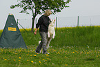 Frau und Weier Schweizer Schferhund
