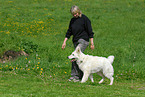 Frau und Weier Schweizer Schferhund