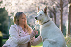 Frau mit Weiem Schferhund