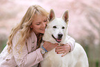 Frau und Weier Schweizer Schferhund