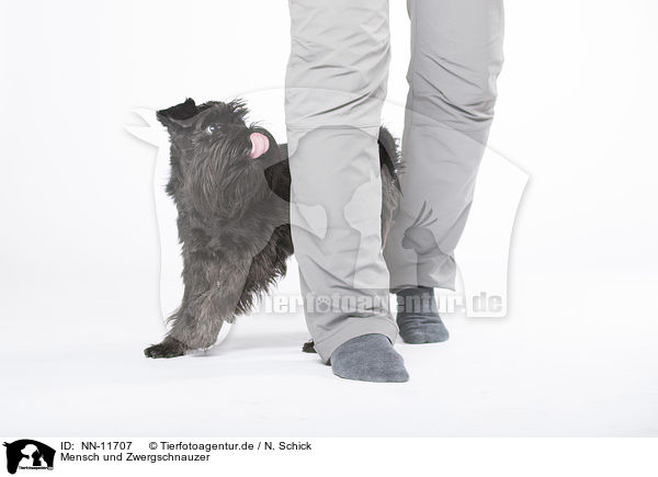 Mensch und Zwergschnauzer / NN-11707