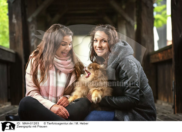 Zwergspitz mit Frauen / MAH-01263