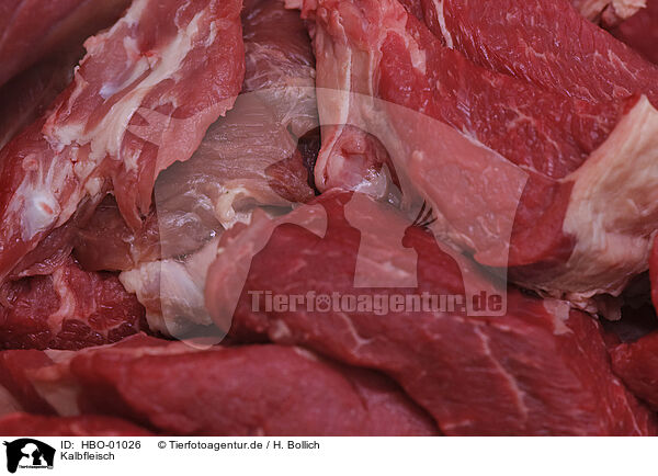 Kalbfleisch / veal / HBO-01026