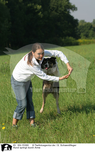 Hund springt durch Arme / SS-15390