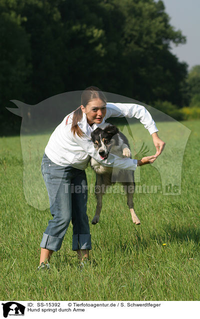 Hund springt durch Arme / SS-15392