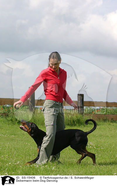 Dobermann beim Dog Dancing / SS-15406