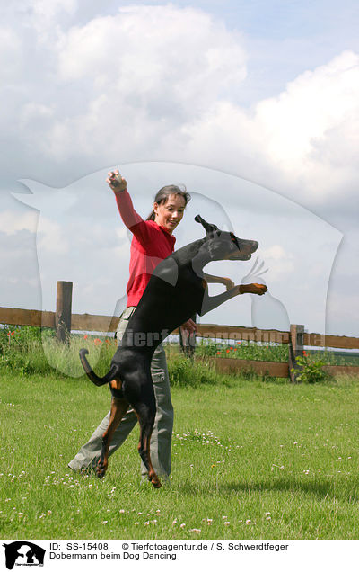 Dobermann beim Dog Dancing / SS-15408