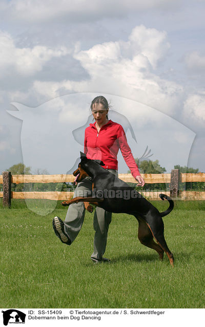 Dobermann beim Dog Dancing / SS-15409