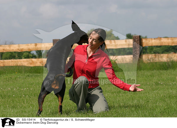 Dobermann beim Dog Dancing / SS-15414