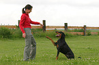 Dobermann beim Dog Dancing